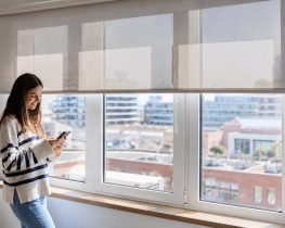 cortinas roller screen