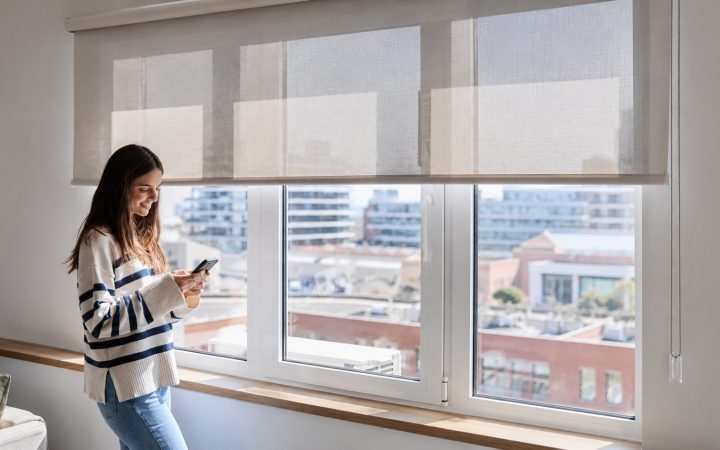 cortinas roller screen